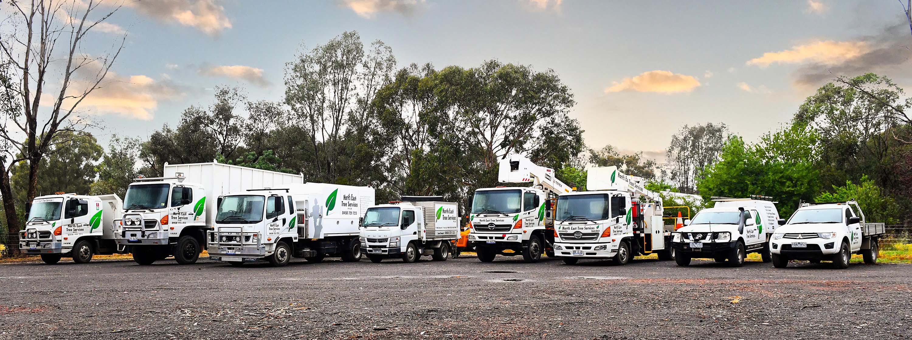 North East Tree Services full fleet of trucks and arboriculture vehicles