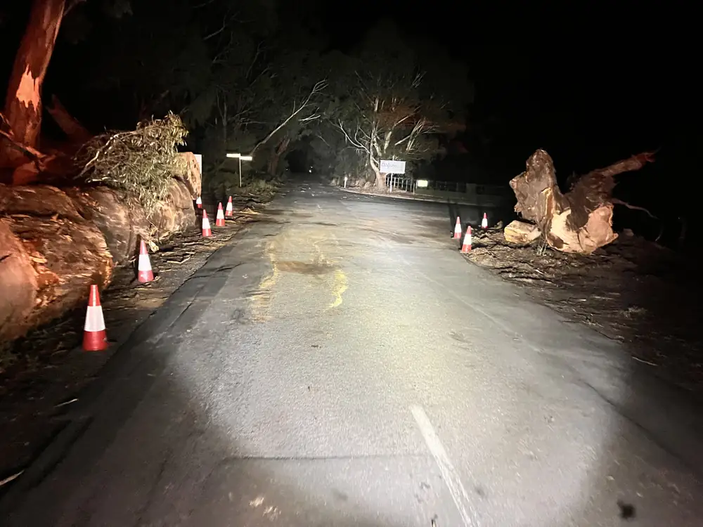 The road after the fallen tree was cleared