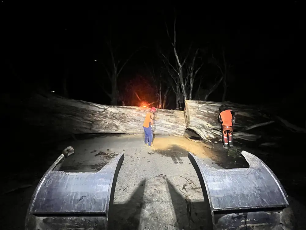 Fallen tree blocking a road before clearance