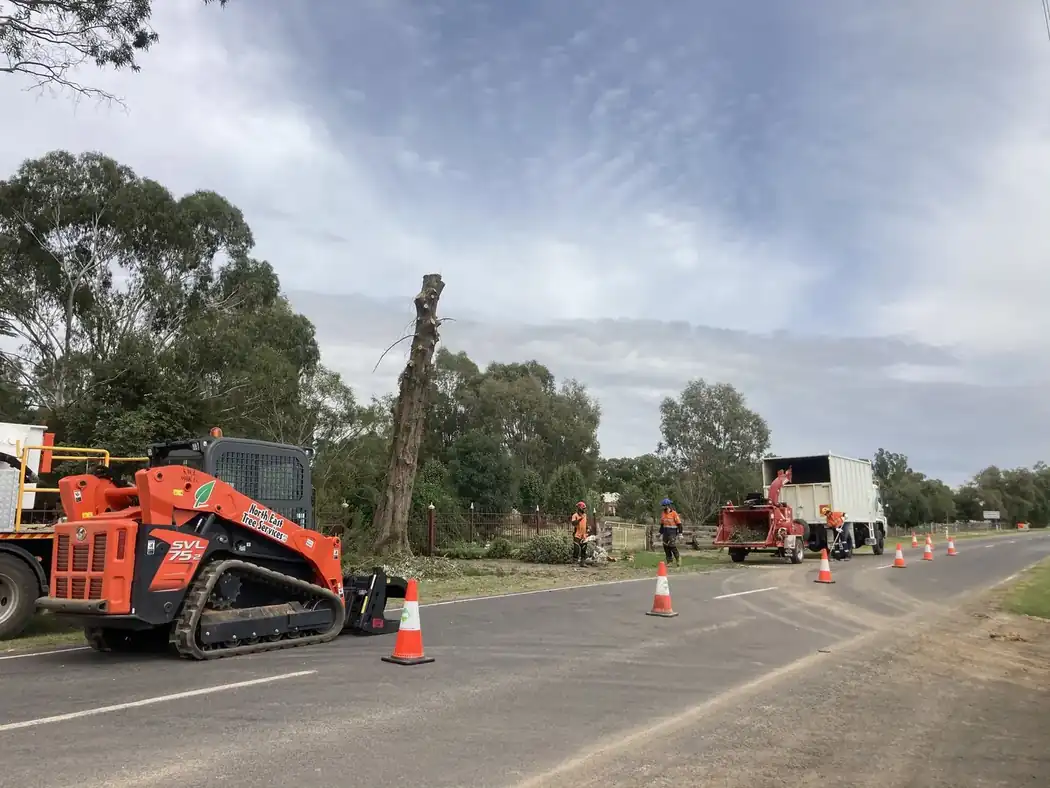 North East Tree Services crew completing controlled roadside tree works